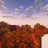 Сервер Майнкрафт DotCraft