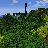 Сервер Майнкрафт A Minecraft Server